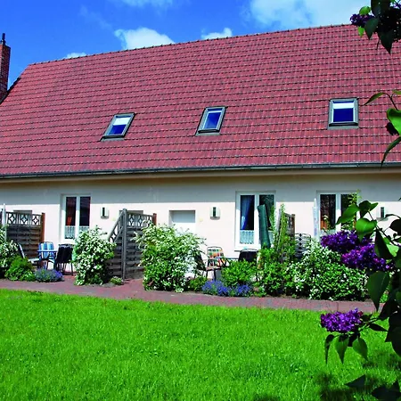 In Buchholz Am Mueritzsee