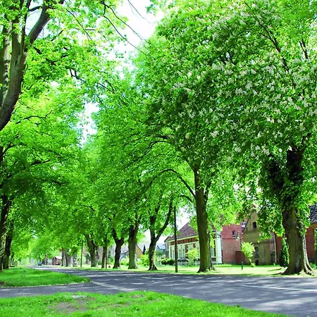 In Am Mueritzsee 公寓 *