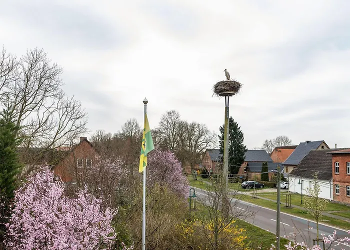 Lejlighed In Am Mueritzsee Buchholz (Mecklenburg-Vorpommern)